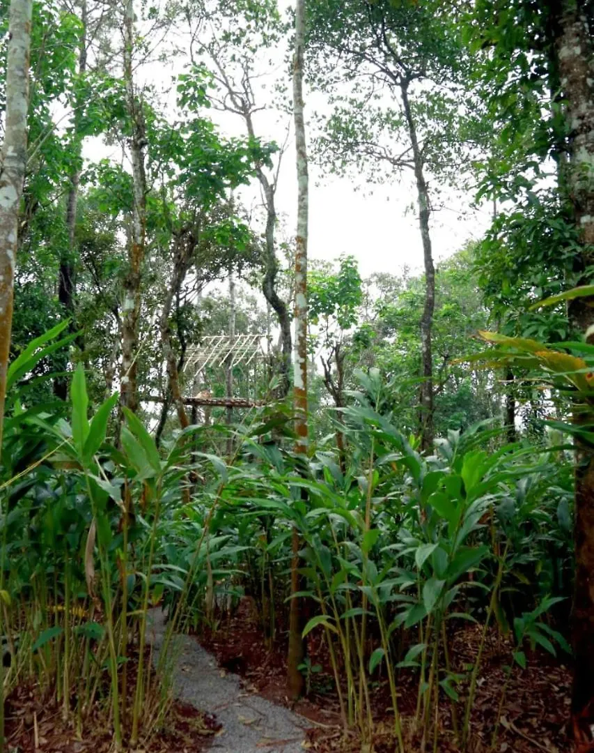 Hotel Lee Wood Villas Thekkady